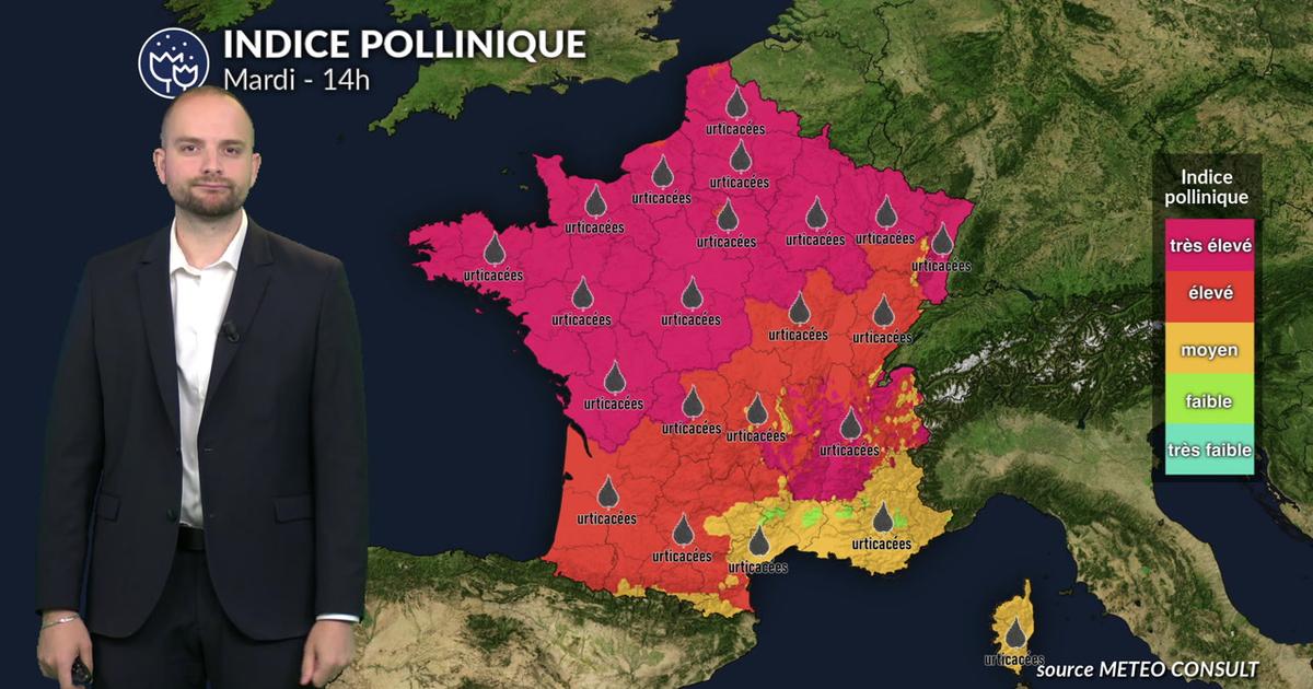 Pollens et allergies : risque encore élevé dans une grande partie du pays