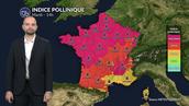 Pollens et allergies : risque encore élevé dans une grande partie du pays