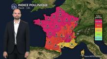 Pollens et allergies : risque encore élevé dans une grande partie du pays