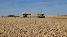 Sécheresse et canicules : de lourdes conséquences dans le domaine agricole, quel impact sur les prix ?