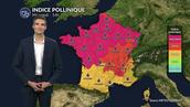 Pollens et allergies : alerte maximale ce mercredi, les pollens d'urticacées dominants