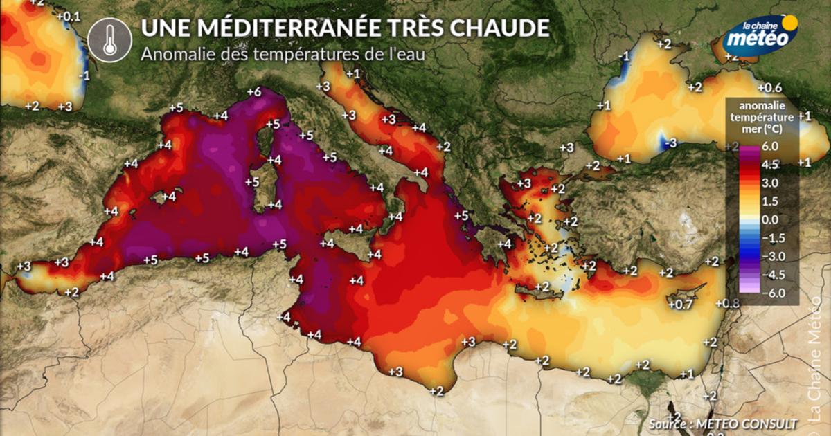 Méditerranée à près de 30 °C : une mer exceptionnellement chaude après les canicules