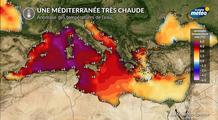 Méditerranée à près de 30 °C : une mer exceptionnellement chaude après les canicules