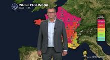 Pollens et allergies ce jeudi : des indices polliniques toujours très élevés au nord
