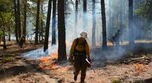 Feux de forêt en France : Gironde et Var sous tension avant le retour des fortes chaleurs