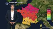 Pollens et allergies : le soleil et la chaleur favorisent une dispersion maximale des pollens ce vendredi