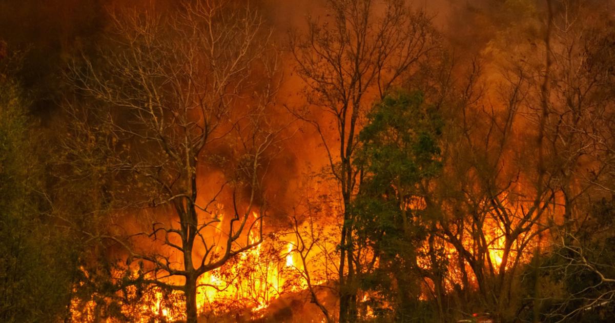Var, Gironde : les incendies poursuivent leurs ravages, nombreuses évacuations en cours
