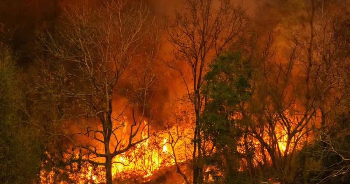 Incendies dans le Sud-Ouest : la situation reste critique ce samedi matin