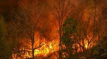 Incendies dans le Sud-Ouest : la situation reste critique ce samedi matin