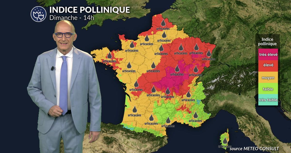 Alerte pollens niveau 5 : le vent du nord disperse orties et graminées sur la moitié nord et l'est