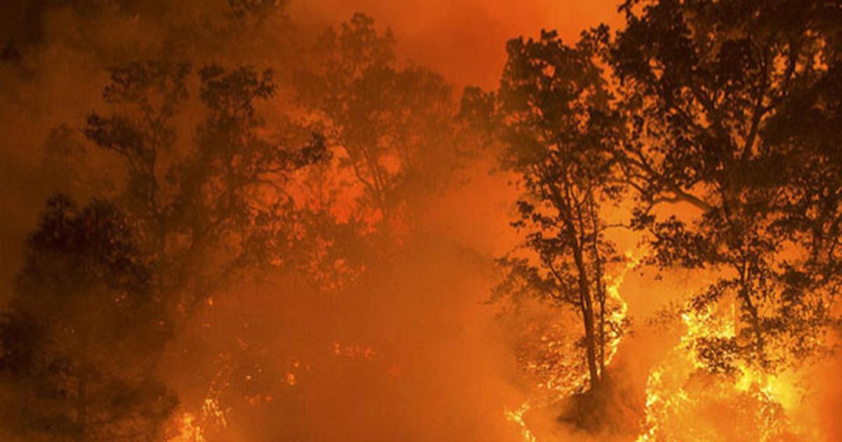Mégafeu en Aquitaine : cause et précédents historiques