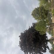 Imphy 25/07/2026
