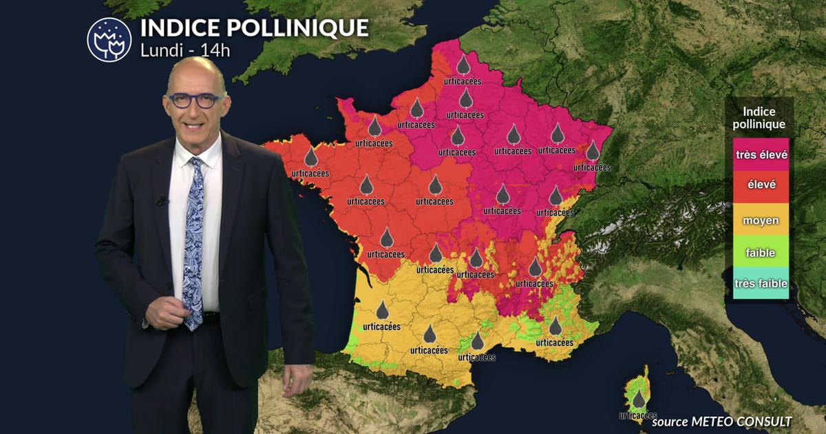 Pollens : le retour du soleil relance les concentrations ce lundi