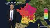 Risque allergique quasi nul sur toute la France : profitez de l'accalmie pollinique avant le retour de la canicule