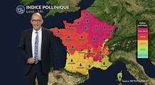 Risque allergique quasi nul sur toute la France : profitez de l'accalmie pollinique avant le retour de la canicule