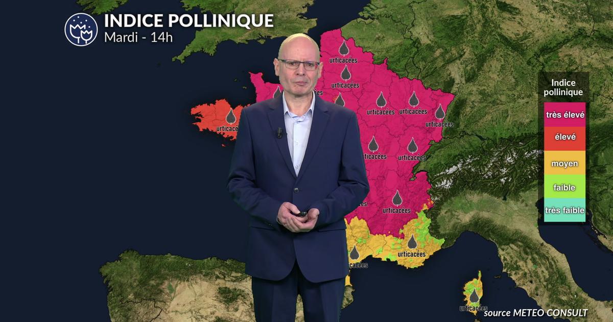 Alerte rouge aux pollens ce mardi : urticacées et graminées saturent l'air de la moitié nord sous l'effet de la chaleur