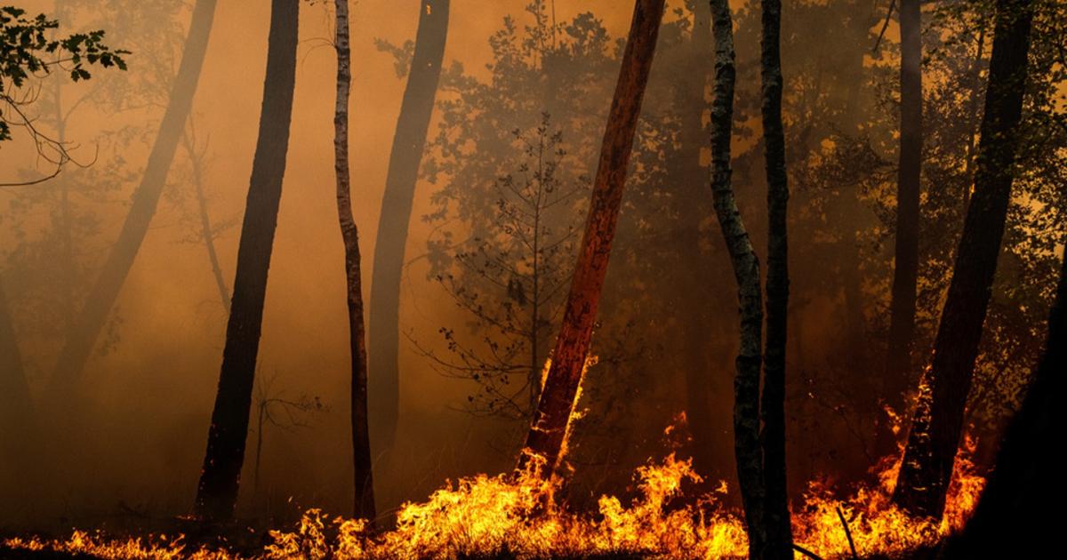 Incendies en France : une accalmie fragile ce lundi, avant le retour de la chaleur
