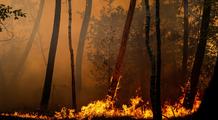 Incendies en France : une accalmie fragile ce lundi, avant le retour de la chaleur