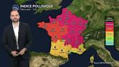 Pollens et allergies : risque très élevé avec le pic caniculaire