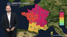Pollens et allergies : risque très élevé avec le pic caniculaire