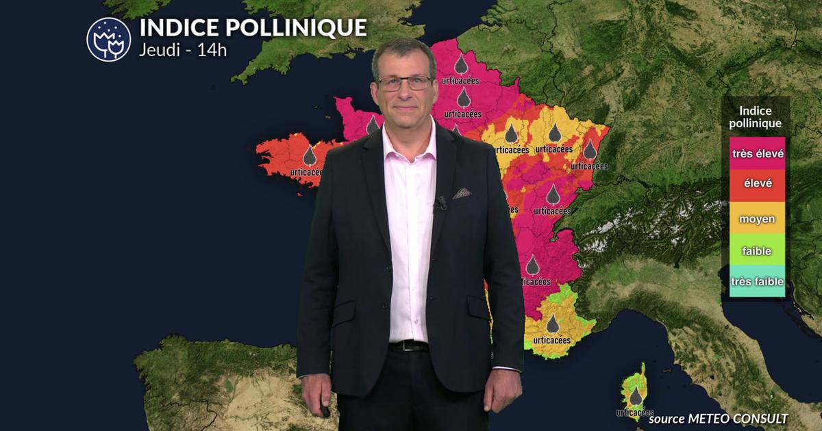 Pollens et allergies : une amélioration liée à la baisse des températures et l'arrivée des orages ce jeudi