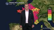 Pollens et allergies : une amélioration liée à la baisse des températures et l'arrivée des orages ce jeudi