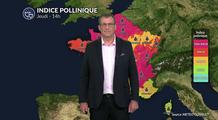 Pollens et allergies : une amélioration liée à la baisse des températures et l'arrivée des orages ce jeudi