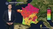 Orages et chaleur : indice pollinique maximal pour les urticacées ce vendredi