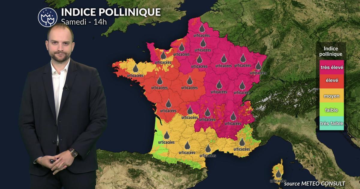 Pollens et allergies : risque allergique plus faible mais attention aux irritants en suspension