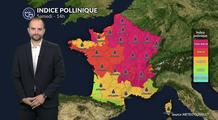 Pollens et allergies : risque allergique plus faible mais attention aux irritants en suspension