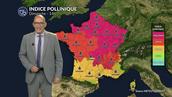 Canicule et orages : risque d'asthme pollinique extrême avec le chêne et les urticacées dans l'Est