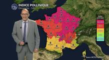 Canicule et orages : risque d'asthme pollinique extrême avec le chêne et les urticacées dans l'Est