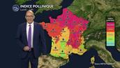 Alerte rouge aux pollens dans le Nord et le Centre : urticacées et orages violents exacerbent le risque demain