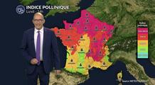 Alerte rouge aux pollens dans le Nord et le Centre : urticacées et orages violents exacerbent le risque demain