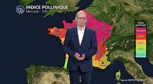 Risque allergique : les pollens estivaux restent bien présents pour demain mercredi