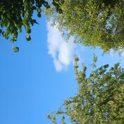 Saint-Robert 04/08/2026
