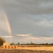 Longepierre 04/08/2026