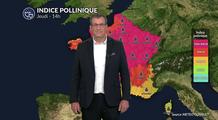 Risque allergique ce jeudi : les concentrations polliniques restent élevées au nord