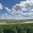 Celles-sur-Ource 05/08/2026