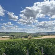 Celles-sur-Ource 05/08/2026