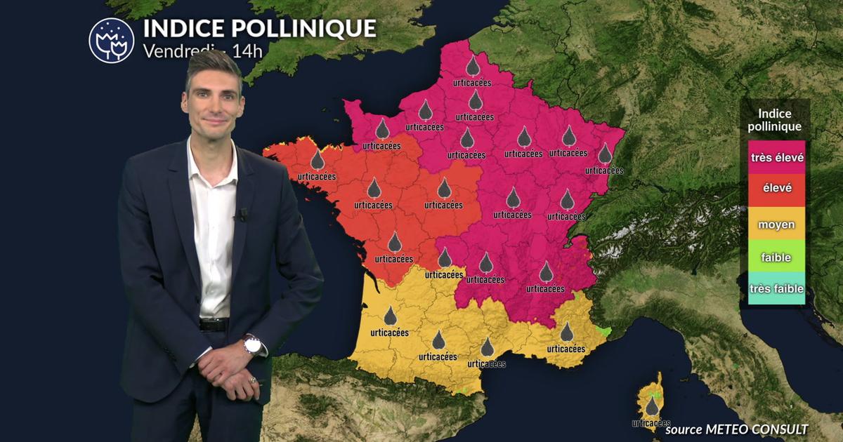 Fortes chaleurs et pic d'urticacées : risque allergique maximal sur la moitié nord ce vendredi