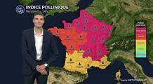 Fortes chaleurs et pic d'urticacées : risque allergique maximal sur la moitié nord ce vendredi