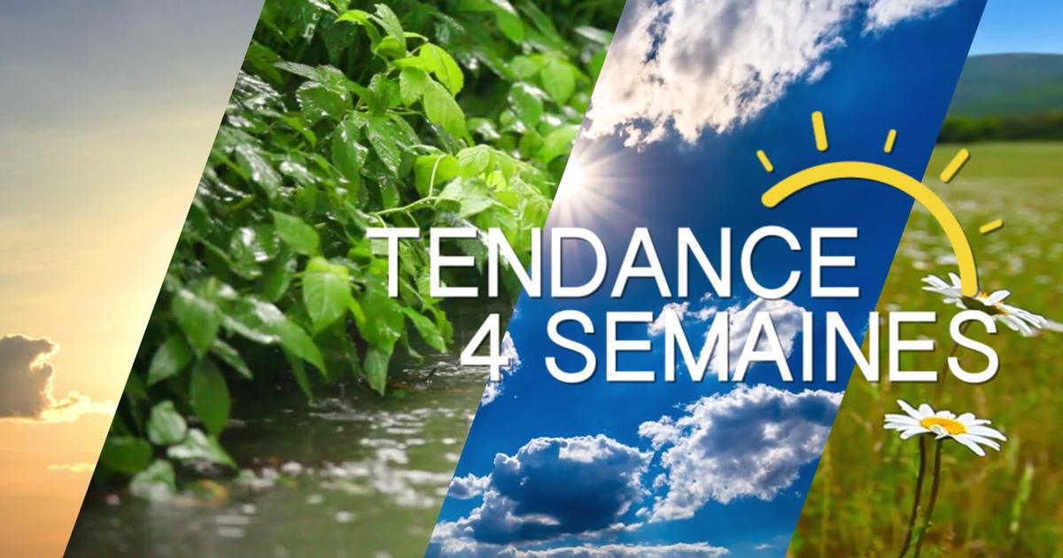 Tendance météo à 4 semaines : chaleur prédominante jusqu'en septembre