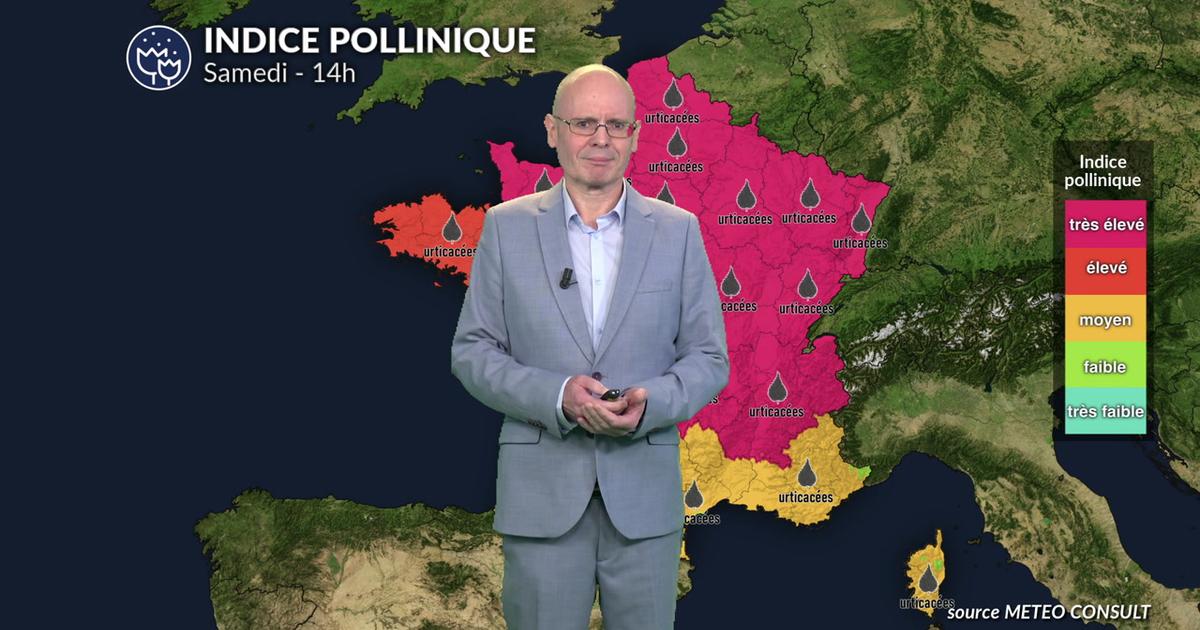 Pic allergique critique au nord et à l'est : urticacées et orages créent un cocktail explosif