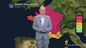 Pic allergique critique au nord et à l'est : urticacées et orages créent un cocktail explosif
