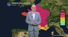 Pic allergique critique au nord et à l'est : urticacées et orages créent un cocktail explosif
