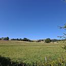 Berthelage 07/08/2026