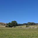 Berthelage 07/08/2026