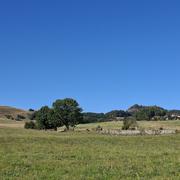 Berthelage 07/08/2026