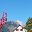 Arrens-Marsous 07/08/2026